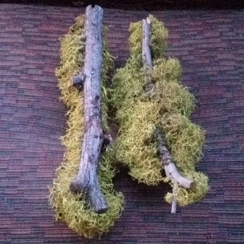 New! Never Used! Moss Branches. 11 Inches Long